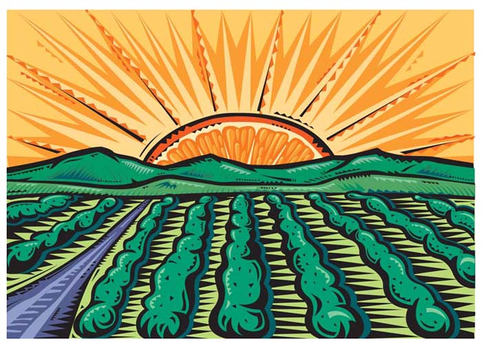 Landscape with Orange Sun
