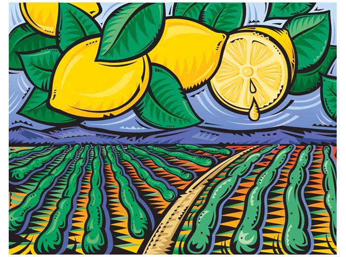 Lemon Field